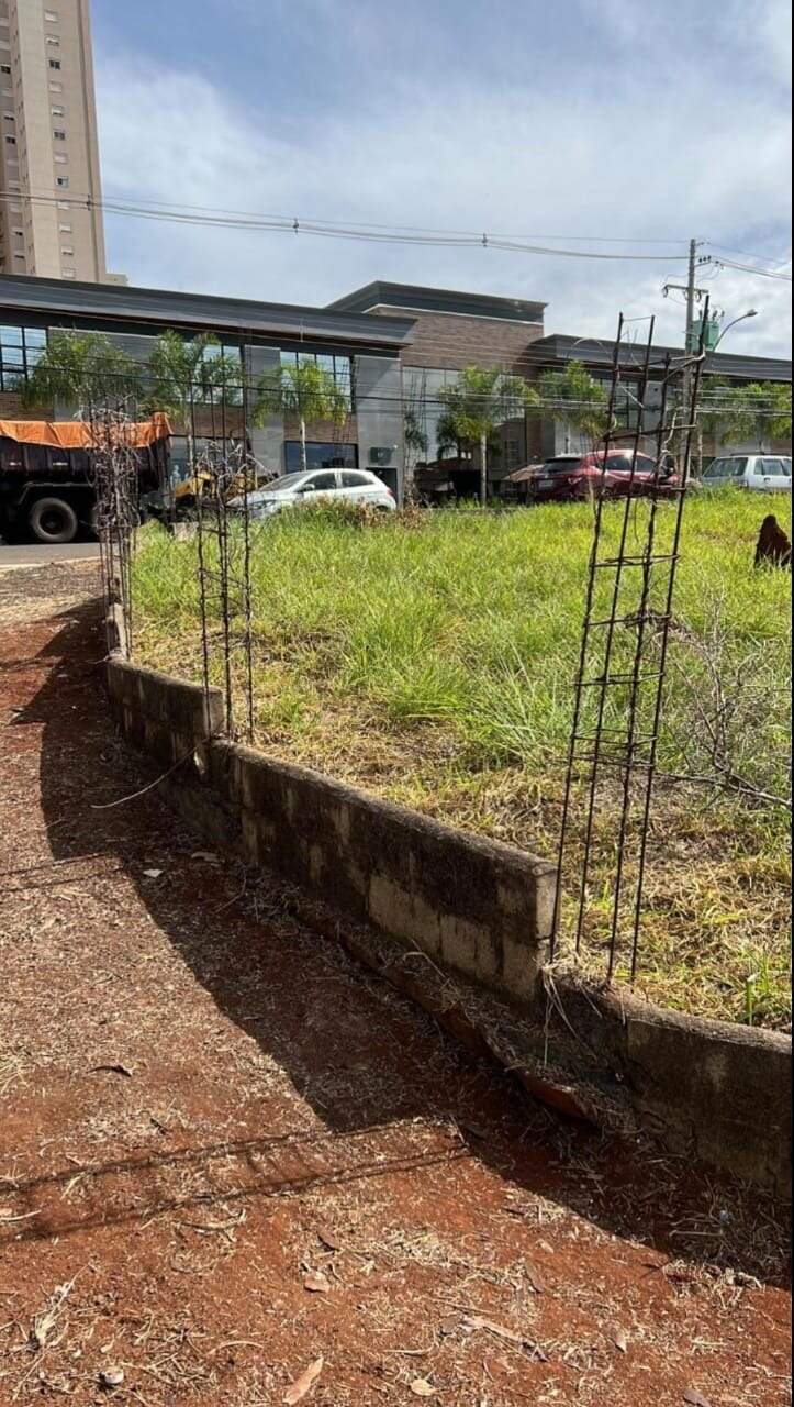 Terreno Comercial para aluguel no Jardim Botânico: