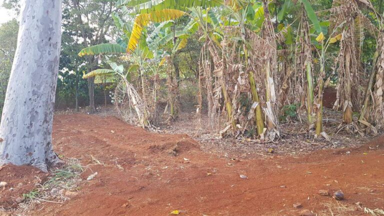 Terreno Comercial à venda no Ribeirânia: | Foto_migracao | 18