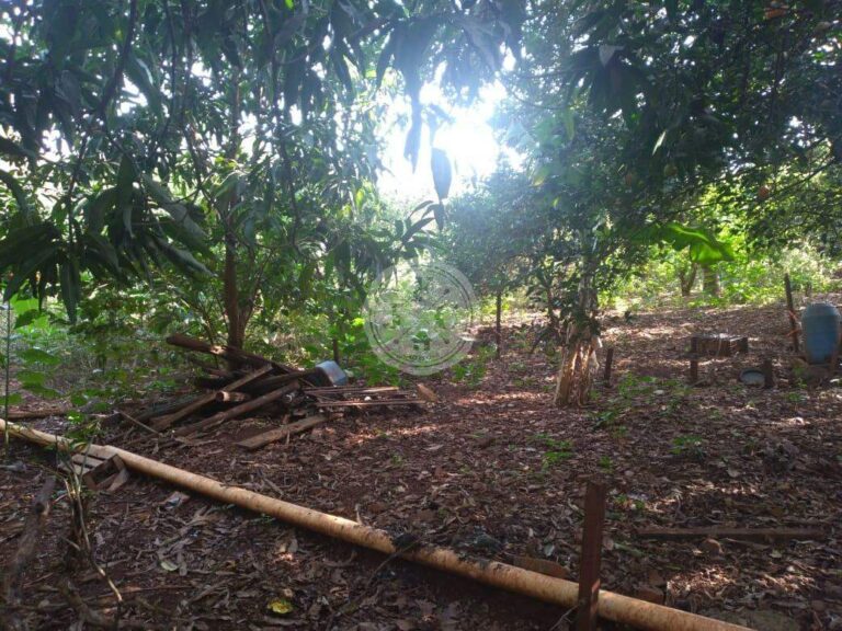 Terreno em Condomínio à venda no Quinta da Alvorada: | Foto_migracao | 8