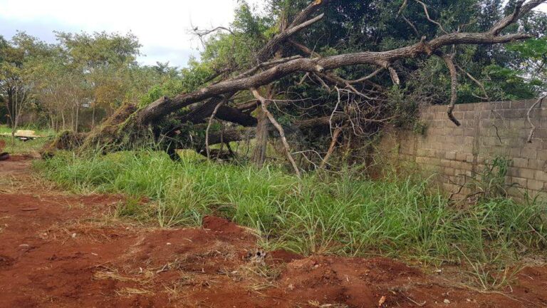 Terreno Comercial à venda no Ribeirânia: | Foto_migracao | 10