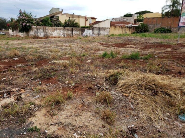 Terreno Comercial para aluguel no Alto da Boa Vista: | Foto_migracao | 7