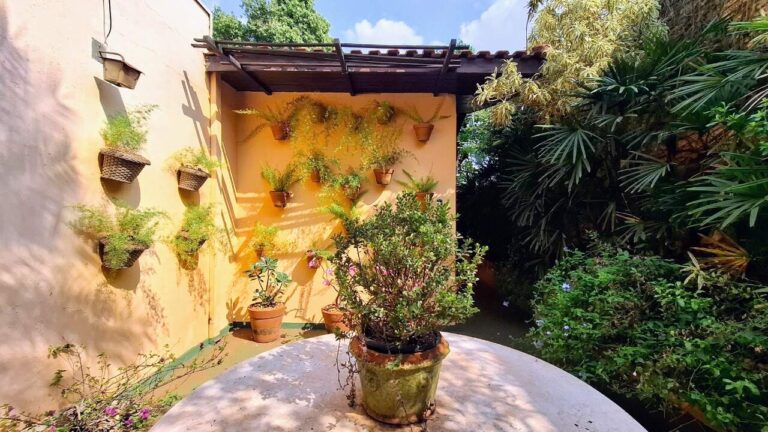 Casa à venda no Alto da Boa Vista: Jardim