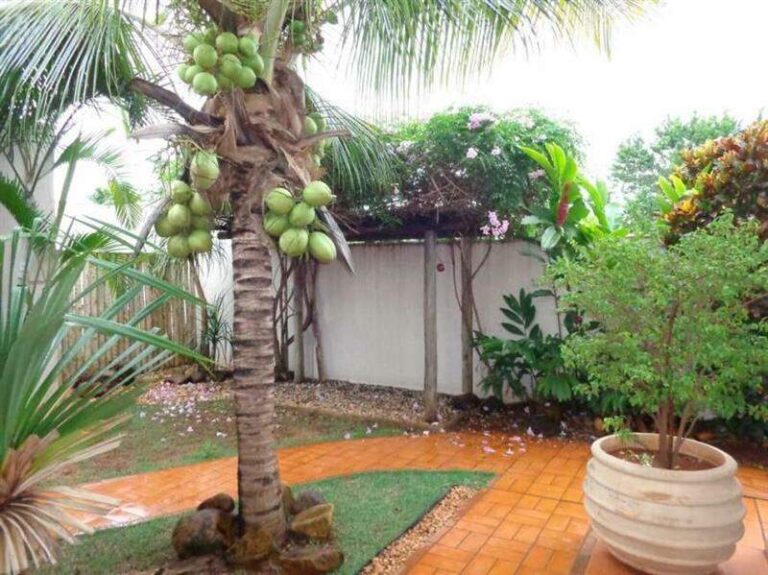 Casa em Condomínio para aluguel no Recreio das Acácias: | Foto_migracao | 2