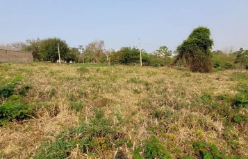 Terreno para aluguel no Alto da Boa Vista: